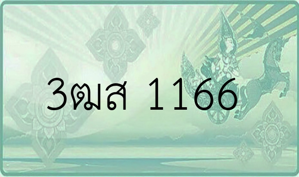 3ฒส 1166